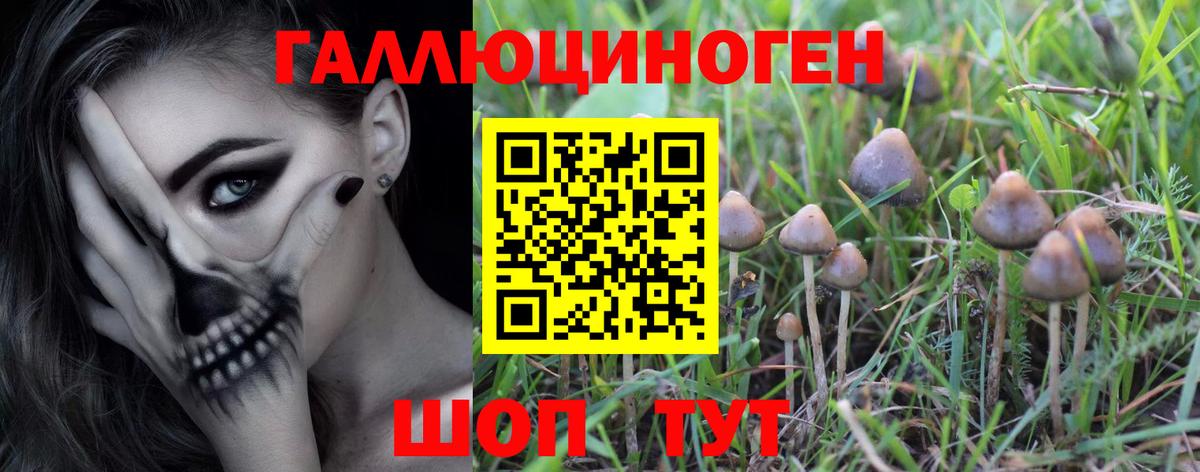 Галлюциногенные грибы мицелий  Вход с VPN  наркотики  Одинцово 